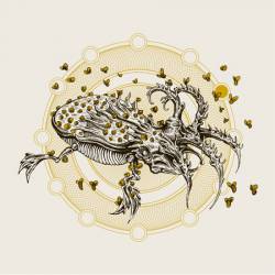 Dephosphorus : Dephosphorus - Great Falls